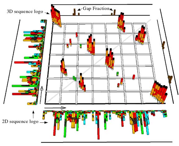 Example of 3D display generated by CorreLogo