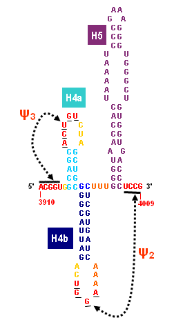 Figure 2 left