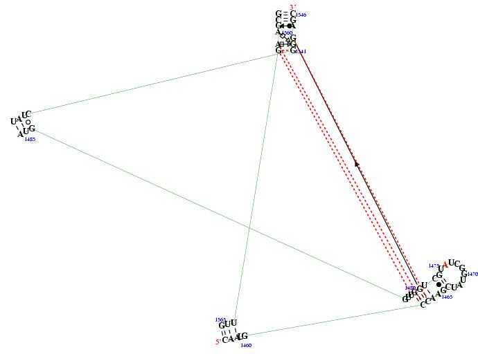 secondary structure of junction 3733