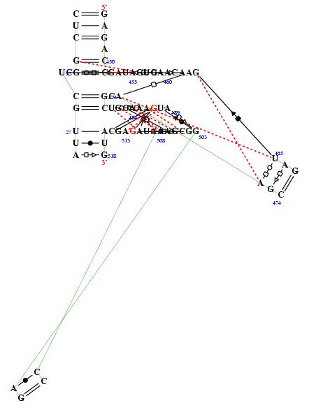 secondary structure of junction 4856